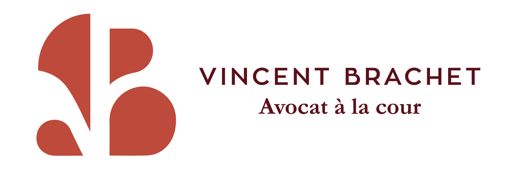 Vincent Brachet Avocat